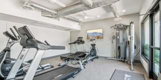 Ardella on 28 Gallery 17