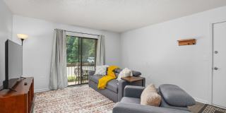 Furnished 1-Bedroom Condo with Modern Updates in Winston-Salem Furnished 1-Bedroom Condo with Modern Updates in Winston-Salem Gallery 4