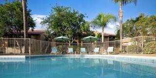 Citrus Place Gallery 41