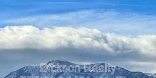10687 Fire Poppy Circle Gallery 4