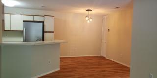 11705-A SUMMERCHASE Circle Gallery 4