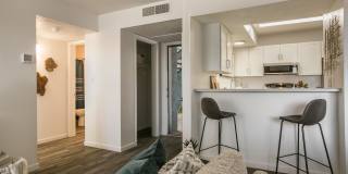 Aya ABQ Gallery 11