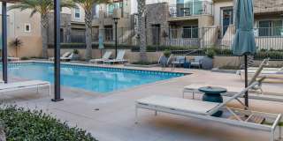 2 Bed+Office in Bressi Ranch! Gallery 37
