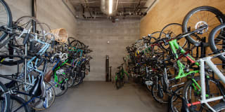 The Century Gallery 26