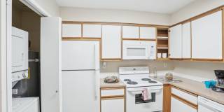 The Stratford Gallery 16