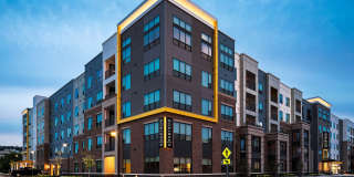 Edge 1909 Gallery 34