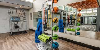 The Lucent Gallery 20