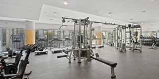 The Laurent Gallery 13