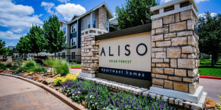 Aliso Briar Forest Gallery 27