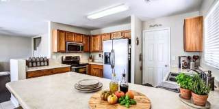 24347 North Oasis Boulevard Gallery 9