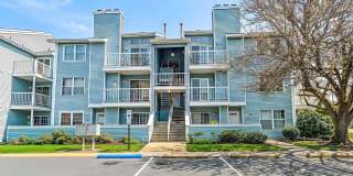 296 Heather Croft Gallery 1