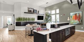 Springs at Colonial Gallery 23