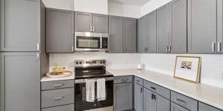 The Belle at the Lamar Gallery 60