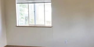 1580fe Gallery 12