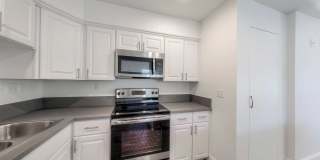 Arbor Collection Gallery 19