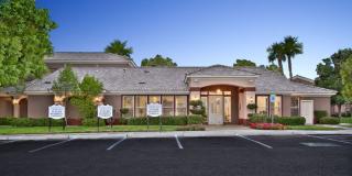 Summer Winds Gallery 18