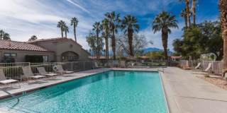 38061 Crocus Lane Gallery 37