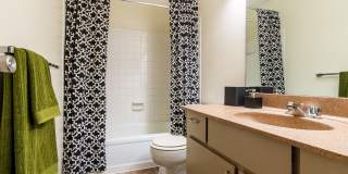 The Falls Gallery 32