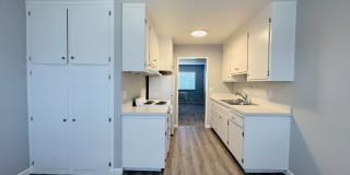 Summer Woods Gallery 5