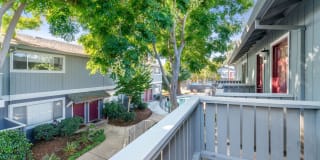 Pruneyard West Gallery 73