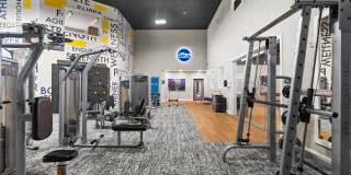 Cascade Ridge Gallery 68