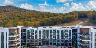 Ellison at the Preserve Gallery 48