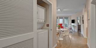 Fiona Gallery 12