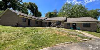 304 Palm Street Gallery 1