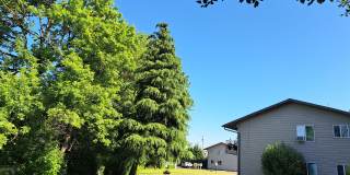 Island Park Gallery 14