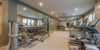 The Hamilton Gallery 29