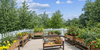 Estates at Arbor Oaks a 55+ Community Gallery 36