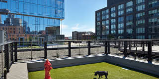 Stadium Place Gallery 40