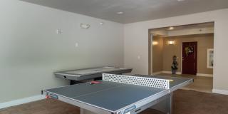 Red Knot at Edinburgh Gallery 52