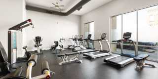 Lofts at Capricorn Lofts at Capricorn Gallery 24