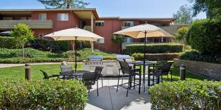 Bay Tree Gallery 50