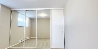 Twin Dolphins Gallery 19