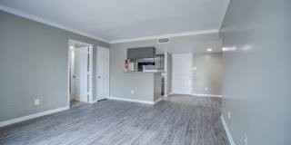 Ashford Santa Ana Gallery 8