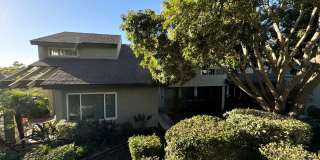 Scenic 4 Bedroom, 2.5 Bathroom Condo Gallery 19