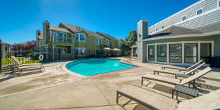 Bristle Pointe Gallery 5