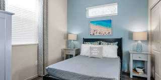 Olive Queen Creek Gallery 13