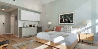 The Odeon Gallery 24