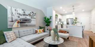 Alta Citron Gallery 45