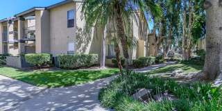 Mountain Creek Apartments Gallery 4