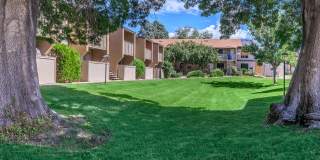 Lincoln Place Gallery 12