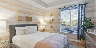 Array La Mesa Gallery 26