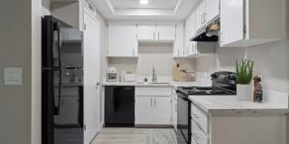 Monte Vista Gallery 1