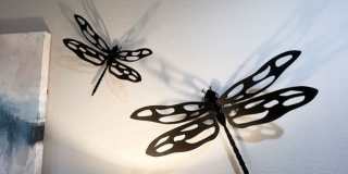 223 RUDOLPH Gallery 19