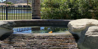 50500 Cypress Point Drive Gallery 3