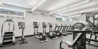 Half Moon Harbour Gallery 17