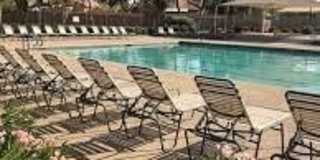 3706 E DESERT FLOWER Lane Gallery 26